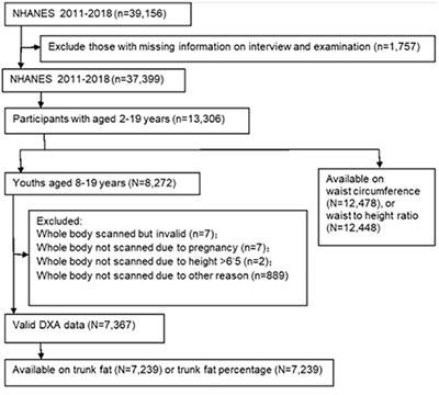Trends in Abdominal Obesity and Central Adiposity Measures by Dual-Energy X-Ray Absorptiometry Among US Children: 2011–2018